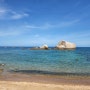 [반쪽세계일주 D+73] 태국 꼬따오 스노클링 Ao Tanote Beach / 스노클링 Shark view Bar / 수제버거 Hippo Burger Bistro