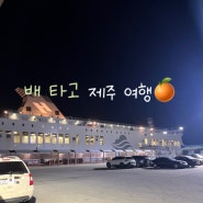 제주 | 새벽행 ‘배’타고 렌트카 인수까지의 고생길🚢: 광주 유스퀘어, 완도 주차시설, 완도 여객터미널, 한일고속페리, 실버클라우드 2등석, 한라 렌트카