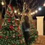 대구 근교 가볼만 한 곳 :: 대형 크리스마스 트리 포토존 가득한 성주 리베볼 주말 저녁 방문 후기