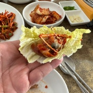 세종 로컬맛집 경희네 손칼국수 보쌈 꼭 가보세요