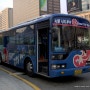SAC-서울 시티투어버스