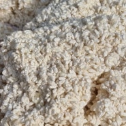 쌀누룩수업 24년 2월