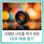 [비전지식] 선명한 사진을 찍기 위한 DOF(Depth of Field : 피사계 심도) 바로 알기