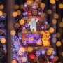 서울 빛초롱축제, 눈발이 살짝 흩날리는 날에...