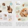 토끼를 키우는 일본인들 그리고 발달한 애완토끼 산업