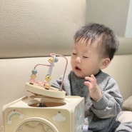 토이미소 피에스타 멀티 액티비티 큐브 롤러코스터 아기 원목 장난감으로 강추