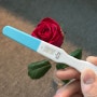 (일상&부모공부) 임신바우처 금액 & 사용처, 사용기간, 잔액확인 총정리! 임신테스트기 두줄!