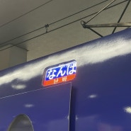 오사카자유여행 1일차/ 오사카 2공항에서 난바역 라피트 타는법