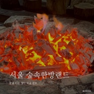 서울 찜질하기 좋은 곳, 서울 3대 찜질방, 숲속한방랜드 가격 할인 정보