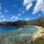 하와이 5박 6일 일주일 자유여행 가족여행 총정리 (여행코스/예약/꿀팁/맛집)