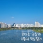 뒤늦게 올리는 우아한 11월의 아쉬운 먹방랑기와 일상