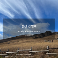 부산 드라이브 코스 인생 억새밭 울산 간월재