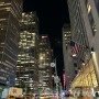 뉴욕여행2 - 🥟딤섬 팰리스 가서 밥 먹고 타임스퀘어까지 걸어가며 뉴욕 거리 산책 (feat.Alo, 맥낼리 잭슨 서점)