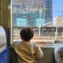 오사카 교토 3박4일 해외여행 아이랑 가족여행 코스