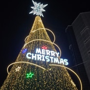 [부산] 해운대 빛축제, 광복로 겨울빛 트리축제 부산축제