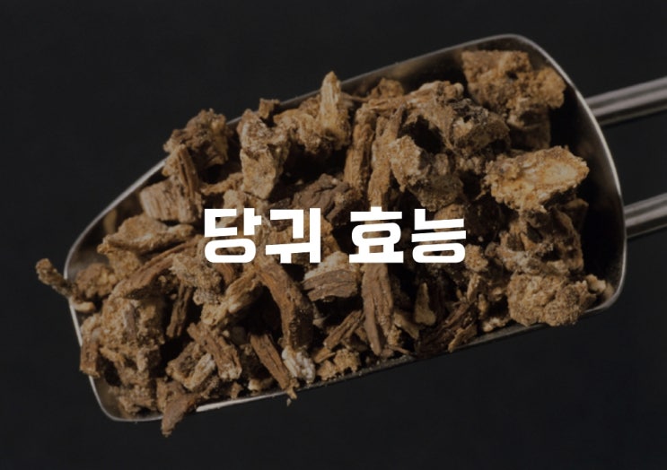 당귀 효능 당귀차 끓이는법 뿌리 부작용 등 자세히 알아보고 드세요. : 네이버 블로그