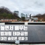 대전 솔로몬로파크 _ 놀면서 배우는 법체험 테마공원