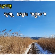 [충남여행] 장항, 보령의 겨울나기