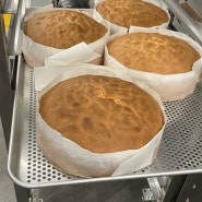 버터 스펀지케이크 별립법(제과기능사 실기) 상남동 퍼스트 제과제빵학원