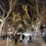 바르셀로나 저녁 시장과 거리 풍경(2)