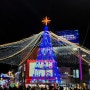 부산 크리스마스 가볼만한 곳 :: 2023 남포동 빛축제, 트리축제
