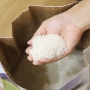 밥맛 좋은 둔전들녘 백미 쌀 10kg 후기 (신선하게 쌀보관 하는법)