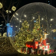 연말에 방문하기 좋은 빛축제 [앞산크리스마스축제] 앞산 빨래터공원