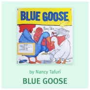 원서읽기 No.5 색조합을 배울 수 있는 BLUE GOOSE 영어그림책