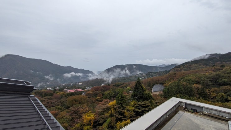 [일본/가나가와현] 하코네, Hakone Ropeway