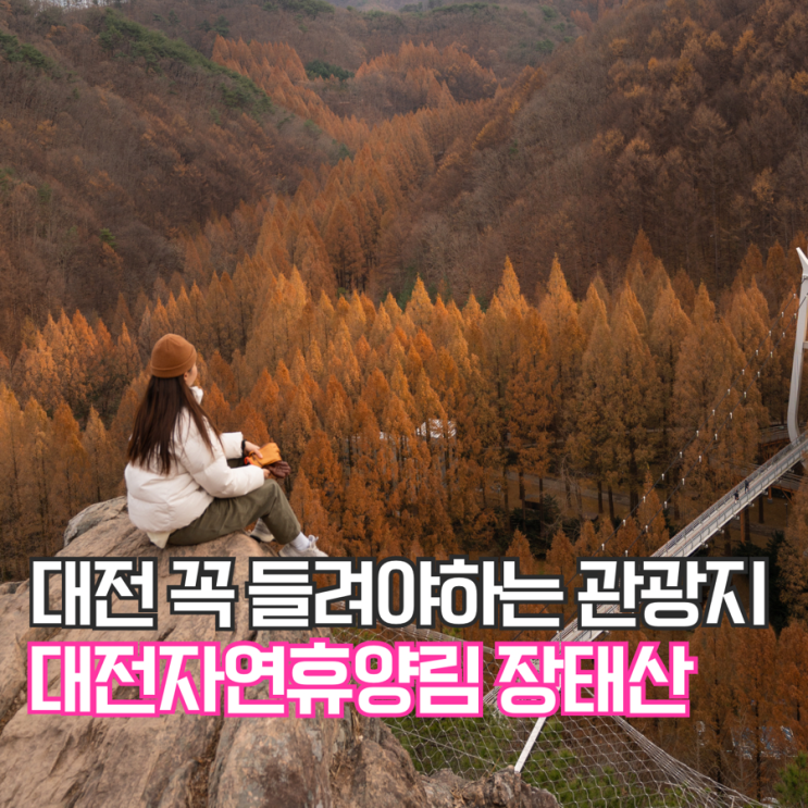 대전 가볼 만한 곳 관광지 장태산자연휴양림 포토존 위치