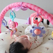 1개월 아기 장난감 : 아기체육관 첫째도 둘째도 좋아한 국민템