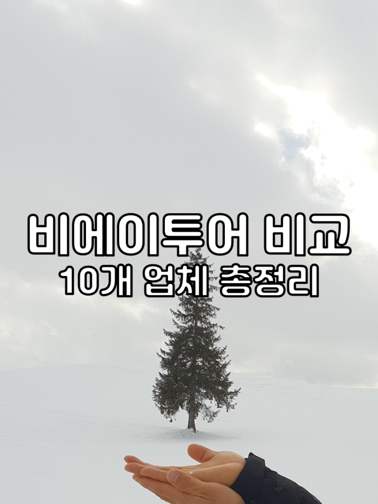 삿포로 비에이투어 추천 버스 투어 예약 10개 업체 비교 총정리 feat. 소규모