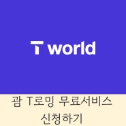 🏝️괌 태교여행/ 무료 T로밍서비스 신청하기