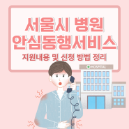 서울시 병원안심동행서비스 지원내용 및 신청방법 정리