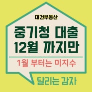 중기청 12월 31일까지 전세대출 당장 받아야 하는 이유 24년 연장 될까?