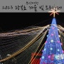 부산여행 :: 부산 남포동 트리축제, 2023 광복로 겨울 빛 트리축제