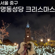 서울 크리스마스 가볼만한곳 명동성당 크리스마스 미사 트리 장미정원