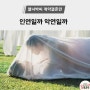 드라마 추천 _ 열녀박씨 계약결혼뎐 원작 결말 (ft.보러가기)