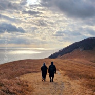 인천 섬여행 :: 굴업도 개머리언덕, 낭개머리, 목기미해변, 붉은모래해변