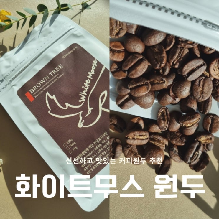 맛있는 커피 원두추천, 화이트무스 스페셜블렌드 : 네이버 블로그