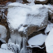 [눈과 얼음_바위의 조화] 한파가 만들어낸 자연의 합작품_얼음 미어캣 눈흑표