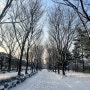 화이트 크리스마스 이브~ 눈 내린 중앙공원