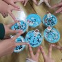 [속초초등학교]미니컵케이크 만들기 했어요~
