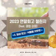 [쏘쿠연말회고 챌린지] 2023년 쿠쿠의 일상 회고, 식물을 키우듯 일상을 가꾸면