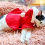 오산역 "자뎅플로리🎅🏻🎀" *귀요운 고양이가 4마리🐈🐈🐈🐈🎶나 있는;ㅂ; 가든카페🌿.∘ 23.12.23.