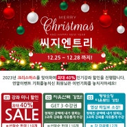 씨지엔트리 - 크리스마스 이벤트! ▶강좌 할인 ▶GET 자유수강권 ▶ESD 평생소장 다운로드 강좌 한정 할인판매!