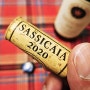이태리 토스카나 슈퍼투스칸 사시까이아 2020 가격 이탈리아 여행 와인