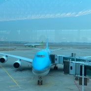 중국 선양공항 대한항공, 칼스라거와 기내 면세점