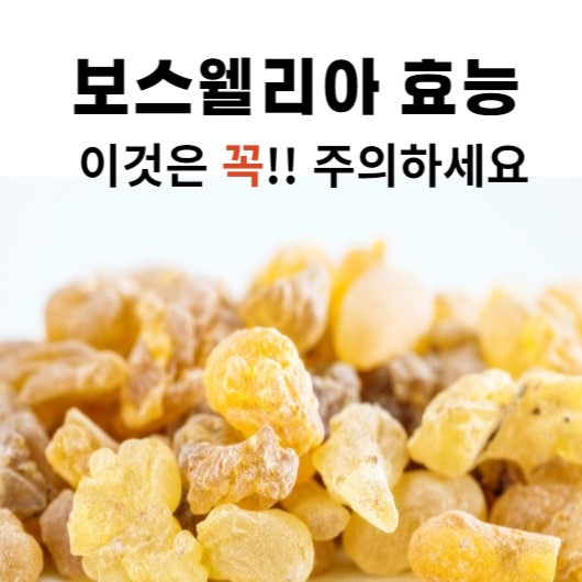 관절에 좋은 보스웰리아(유향)효능 먹는방법 이것은 꼭 주의하세요. : 네이버 블로그