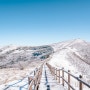 겨울 눈꽃 여행 / 소백산 비로봉 천동코스 (상고대)